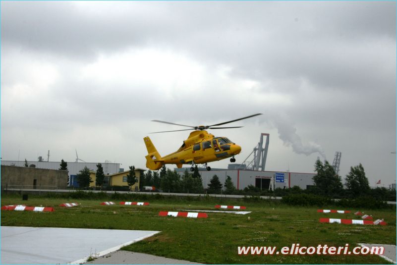 elifoto (139)